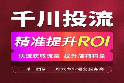 百度推广在电商行业的应用案例分析